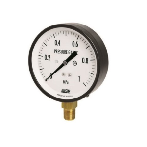 Đông hồ áp suất WISE P110 (Phi 75 )