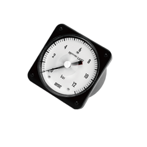 Đông hồ áp suất WISE P338