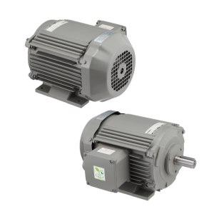 TFO-K-100L-2-6P - Motor Hitachi 3 pha loại tiêu chuẩn (IE1)