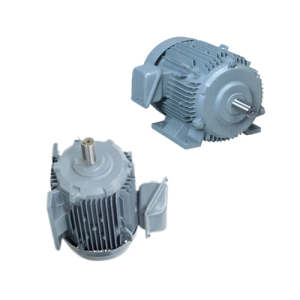 TFO-KK-160L-25-2P - Motor Hitachi 3 pha loại tiêu chuẩn (IE1)