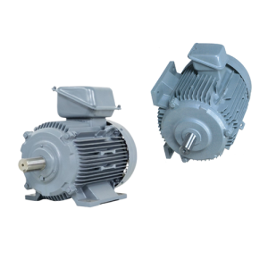 TFO-KK-160M-20-2P - Motor Hitachi 3 pha loại tiêu chuẩn (IE1)