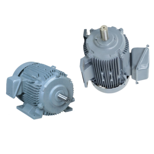 TFO-KK-200L-60-2P - Motor Hitachi 3 pha loại tiêu chuẩn (IE1)