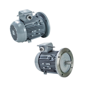 VTFO-K-FF165-90L-2-2P - Motor Hitachi 3 pha loại tiêu chuẩn (IE1)