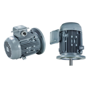 VTFO-K-FF215-100L-2-6P - Motor Hitachi 3 pha loại tiêu chuẩn (IE1)