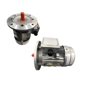 VTFO-KK-FF300-160L-15-6P - Motor Hitachi 3 pha loại tiêu chuẩn (IE1)