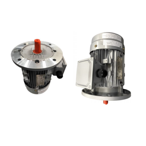 VTFO-KK-FF300-160L-20-4P - Motor Hitachi 3 pha loại tiêu chuẩn (IE1)