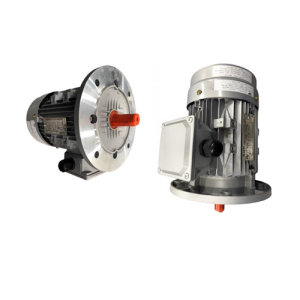 VTFO-KK-FF300-160L-25-2P - Motor Hitachi 3 pha loại tiêu chuẩn (IE1)