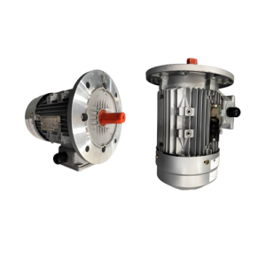 VTFO-KK-FF300-160M-10-6P - Motor Hitachi 3 pha loại tiêu chuẩn (IE1)