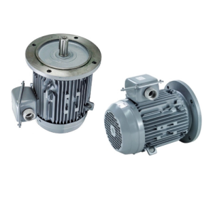 VTFO-KK-FF300-160M-20-2P - Motor Hitachi 3 pha loại tiêu chuẩn (IE1)