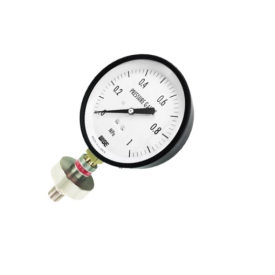 Đồng hồ áp suất Wise Model  P170