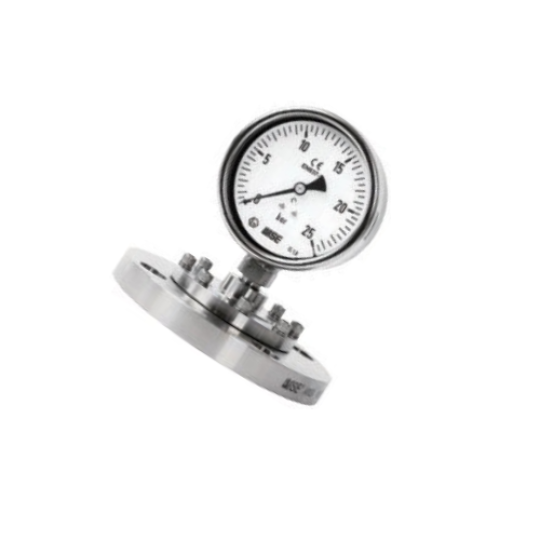 Đông hồ áp suất WISE P730