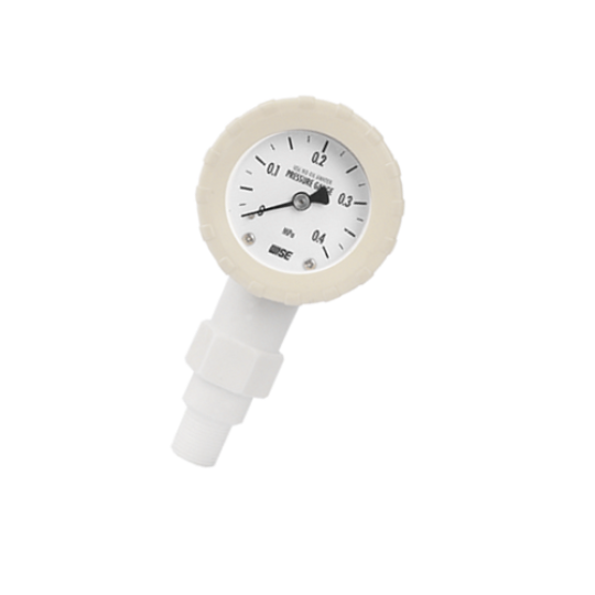 Đông hồ áp suất WISE P870