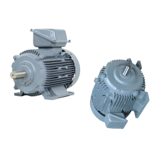 TFO-KK-180L-25-6P - Motor Hitachi 3 pha loại tiêu chuẩn (IE1)
