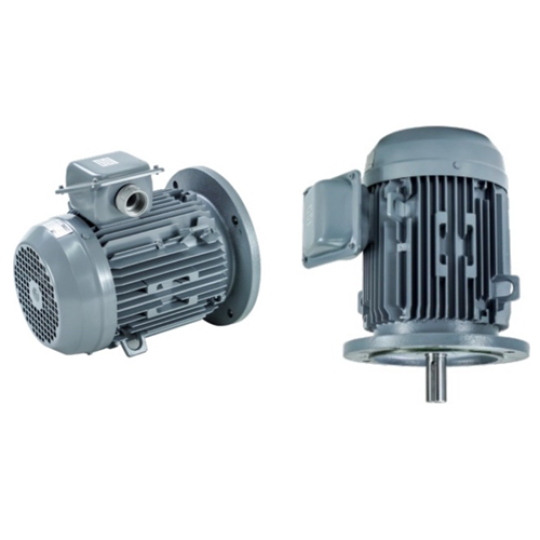 VTFO-K-FF130-71M-1/2-2P - Motor Hitachi 3 pha loại tiêu chuẩn (IE1)