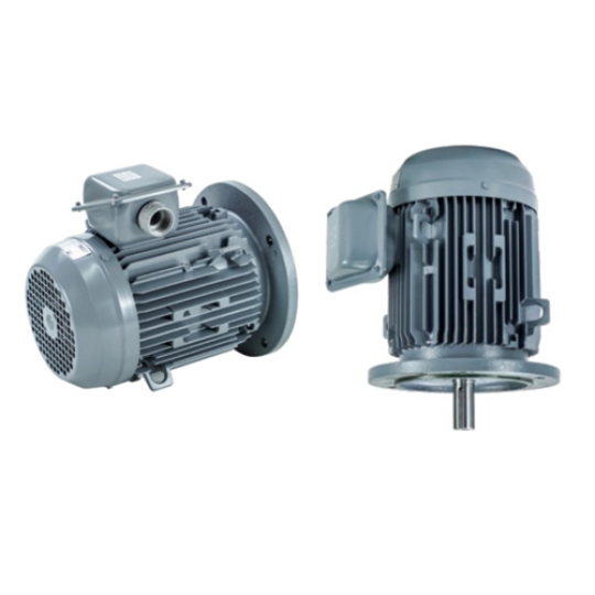 VTFO-K-FF215-100L-2-6P - Motor Hitachi 3 pha loại tiêu chuẩn (IE1)