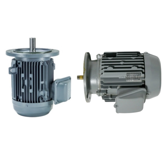 VTFO-K-FF215-112M-5-2P - Motor Hitachi 3 pha loại tiêu chuẩn (IE1)