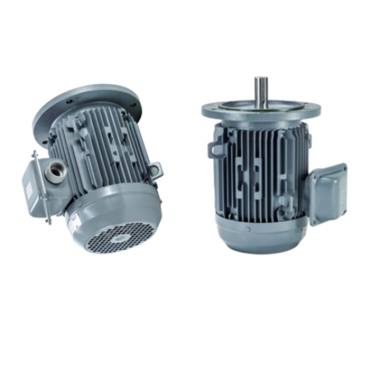 VTFO-KK-FF265-132M-10-4P - Motor Hitachi 3 pha loại tiêu chuẩn (IE1)