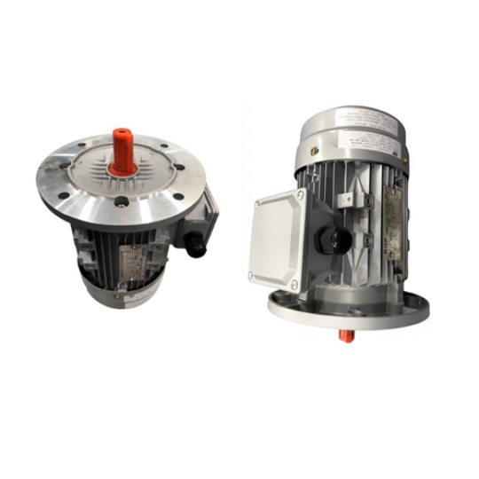 VTFO-KK-FF300-160L-20-4P - Motor Hitachi 3 pha loại tiêu chuẩn (IE1)