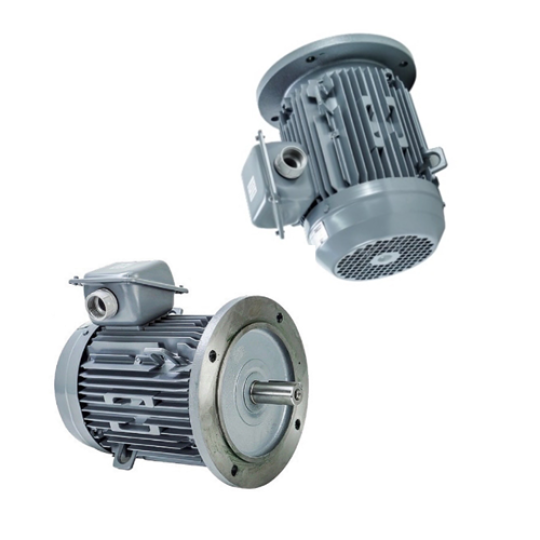 VTFO-KK-FF300-160M-15-2P - Motor Hitachi 3 pha loại tiêu chuẩn (IE1)