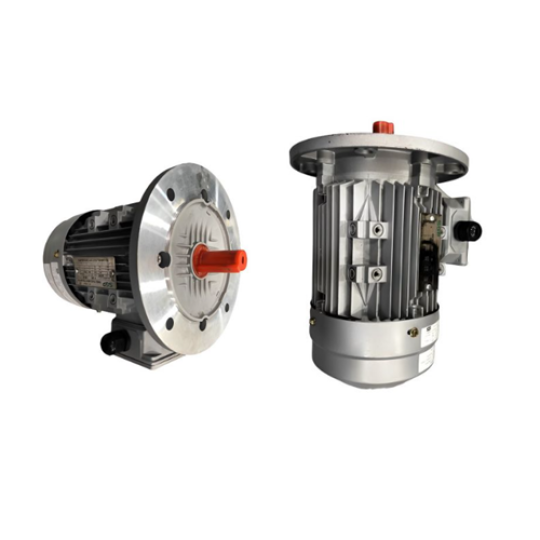 VTFO-KK-FF350-180L-40-2P - Motor Hitachi 3 pha loại tiêu chuẩn (IE1)