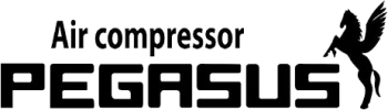 Pegasus